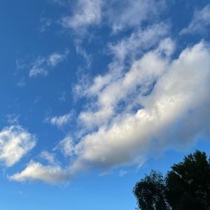 Meet your Posher, Iris